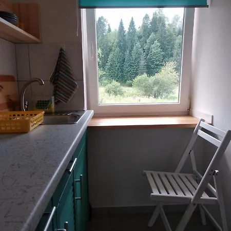 декорум Apartment Skhidnytsia