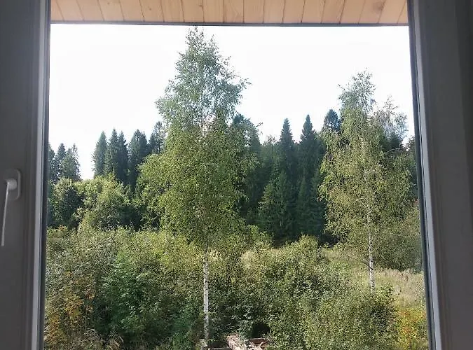 декорум *